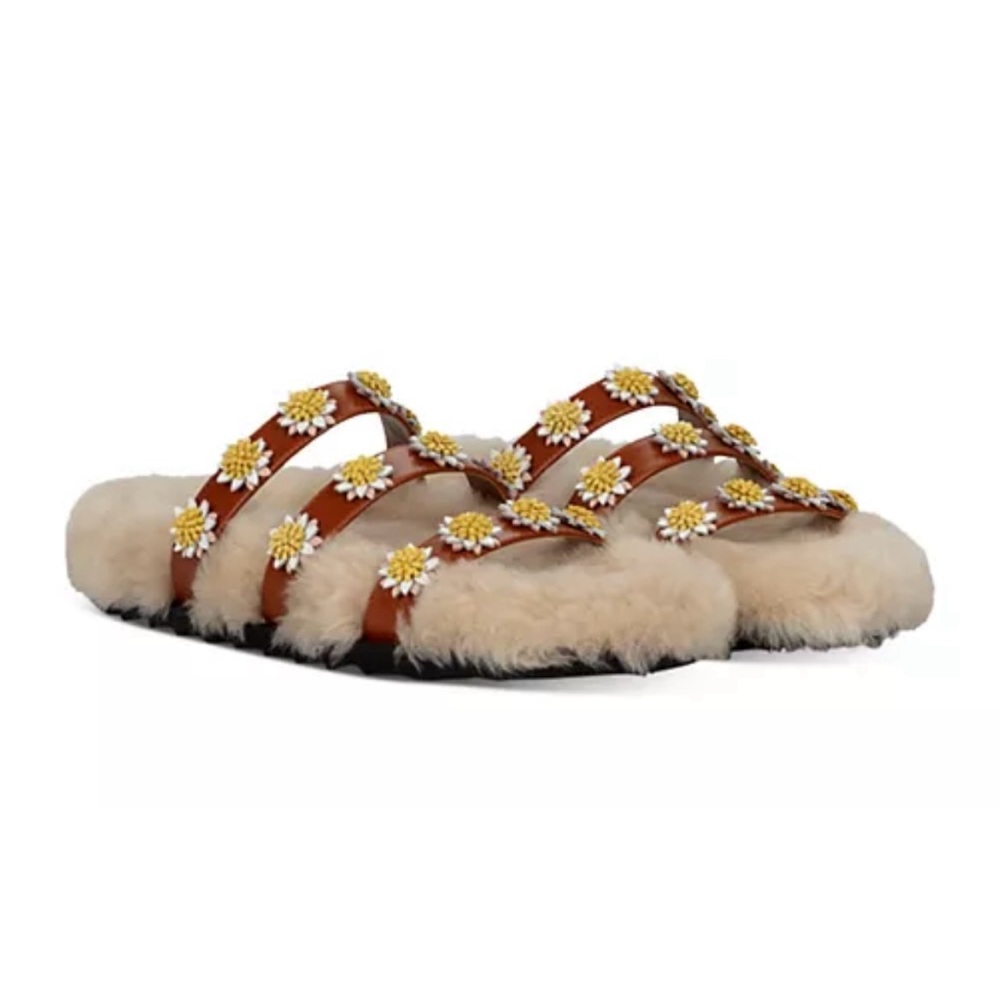 ISO Fabrizio Viti Berkeley slides size 37 or 38